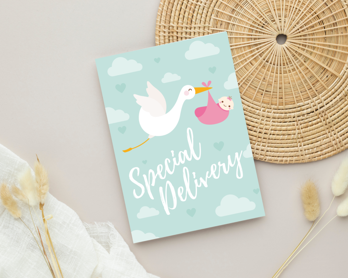 Special Delivery Baby Shower Card for Newborn Girl, 5 x 7 Greeting Card and White Envelope