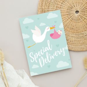 Special Delivery Baby Shower Card for Newborn Girl, 5 x 7 Greeting Card and White Envelope