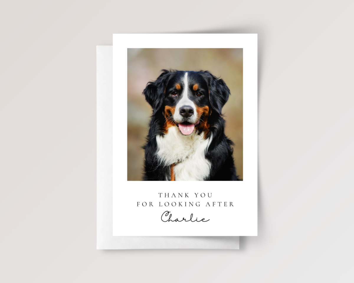 Thank you card for pet sitter with photo