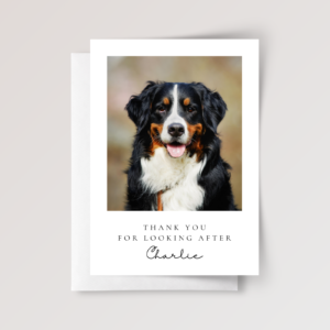 Thank you card for pet sitter with photo