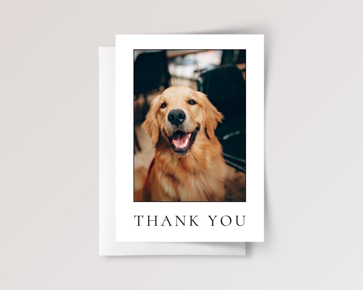 Pet Photo Thank You Card for Veterinarian, Pet Sitter, Dog Watcher, 5 x 7 Custom Greeting - Image 4 Pet Photo Thank You Card for Veterinarian, Pet Sitter, Dog Watcher, 5 x 7 Custom Greeting