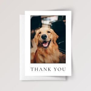 Pet Photo Thank You Card for Veterinarian, Pet Sitter, Dog Watcher, 5 x 7 Custom Greeting - Image 4 Pet Photo Thank You Card for Veterinarian, Pet Sitter, Dog Watcher, 5 x 7 Custom Greeting