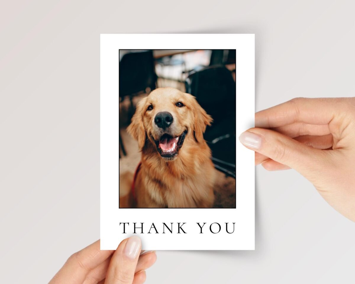 Pet Photo Thank You Card for Veterinarian, Pet Sitter, Dog Watcher, 5 x 7 Custom Greeting - Image 1 Pet Photo Thank You Card for Veterinarian, Pet Sitter, Dog Watcher, 5 x 7 Custom Greeting