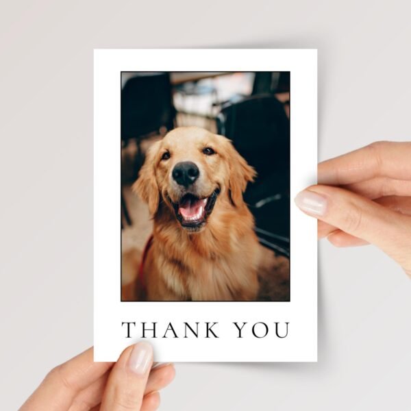 Pet Photo Thank You Card for Veterinarian, Pet Sitter, Dog Watcher, 5 x 7 Custom Greeting