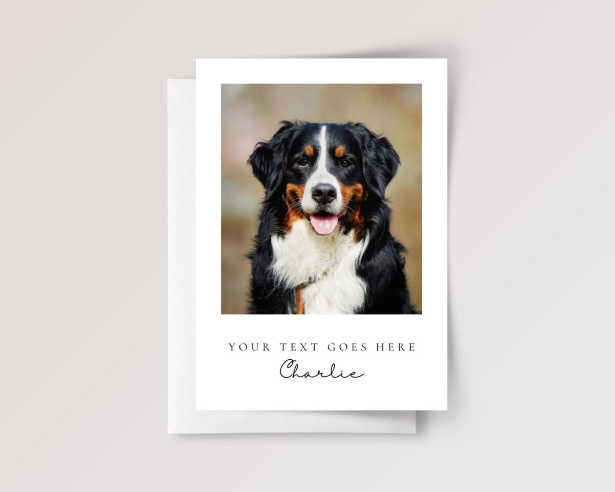 Pet Photo Thank You Card for Veterinarian, Pet Sitter, Dog Watcher