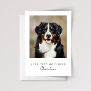 Pet Photo Thank You Card for Veterinarian, Pet Sitter, Dog Watcher