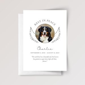 Pet Photo Card With Wings for Funeral/Pet Loss, Grieving