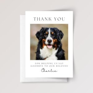 Thank You Card for Veterinarian Doctor, Pet Loss/Grieving