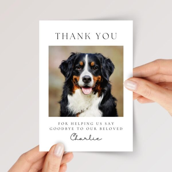 Thank You Card for Veterinarian Doctor, Pet Loss/Grieving