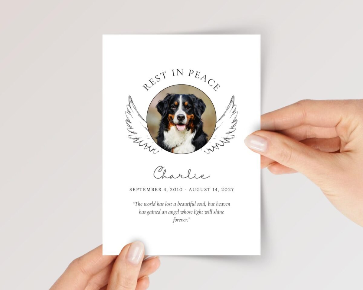 Pet Photo Card With Wings for Funeral/Pet Loss, Grieving