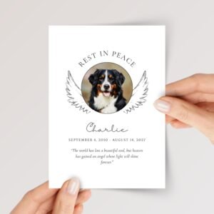 Pet Photo Card With Wings for Funeral/Pet Loss, Grieving