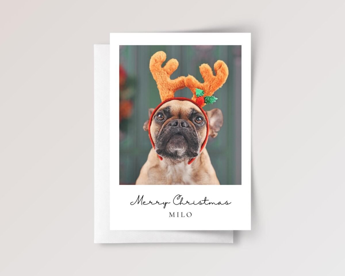Personalized Pet Christmas Card with Dog/Cat Photo, 5 x 7 Holiday Greeting and White Envelope