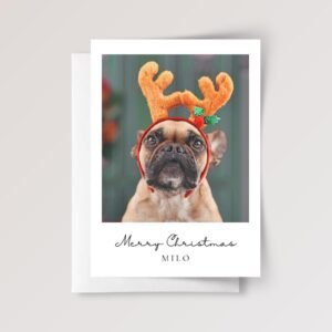 Personalized Pet Christmas Card with Dog/Cat Photo, 5 x 7 Holiday Greeting and White Envelope