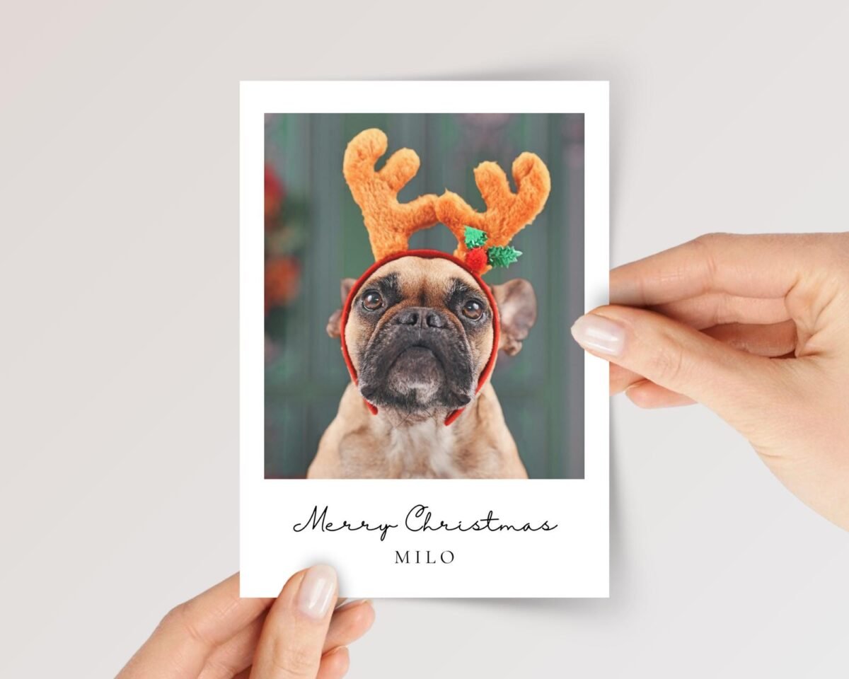 Personalized Pet Christmas Card with Dog/Cat Photo, 5 x 7 Holiday Greeting and White Envelope