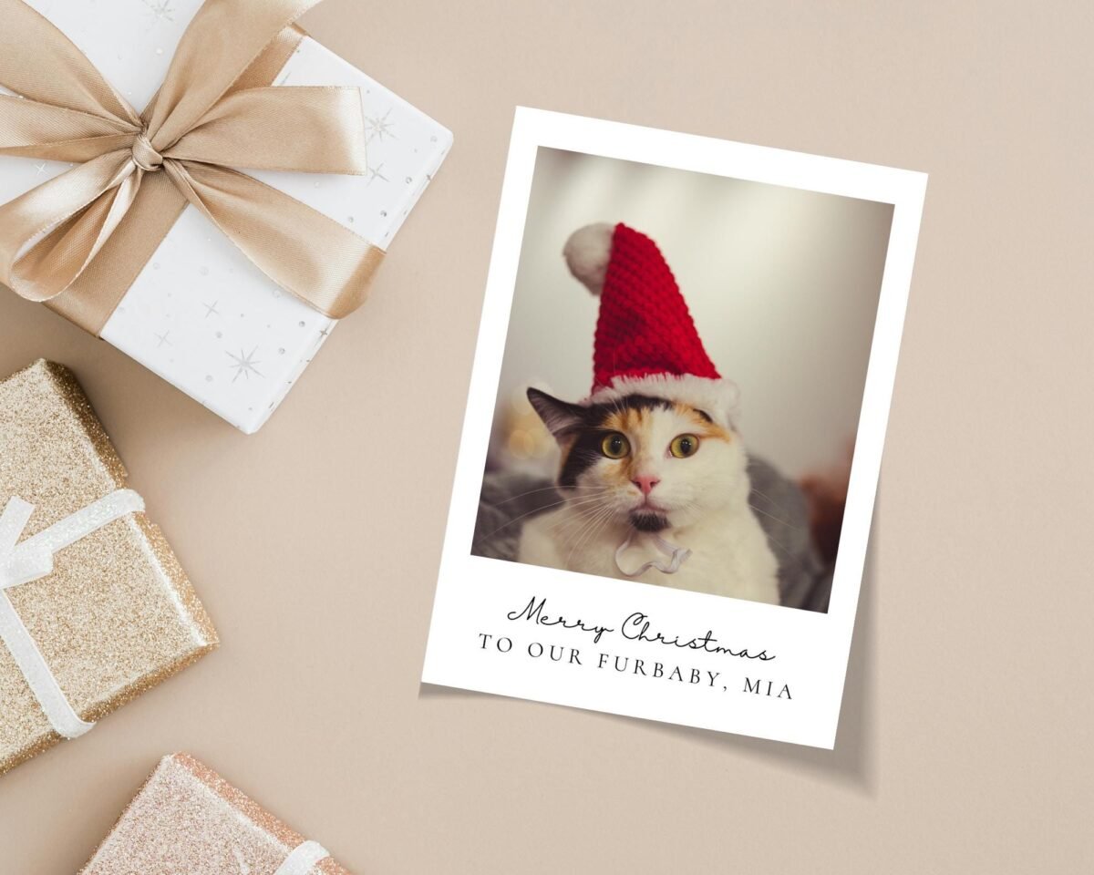 Personalized Pet Christmas Card with Dog/Cat Photo, 5 x 7 Holiday Greeting and White Envelope