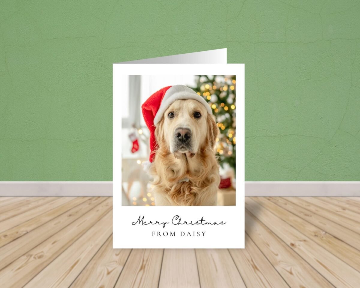 Personalized Pet Christmas Card with Dog/Cat Photo, 5 x 7 Holiday Greeting and White Envelope