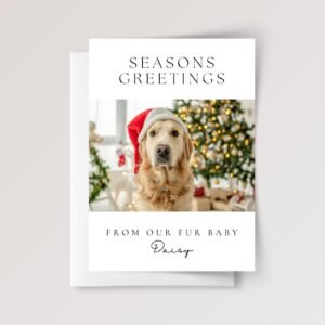 Personalized Pet Holiday Card with Photo, 5 x 7 Seasons Greetings Card with White Envelope Personalized Pet Holiday Card with Photo, 5 x 7 Seasons Greetings Card with White Envelope