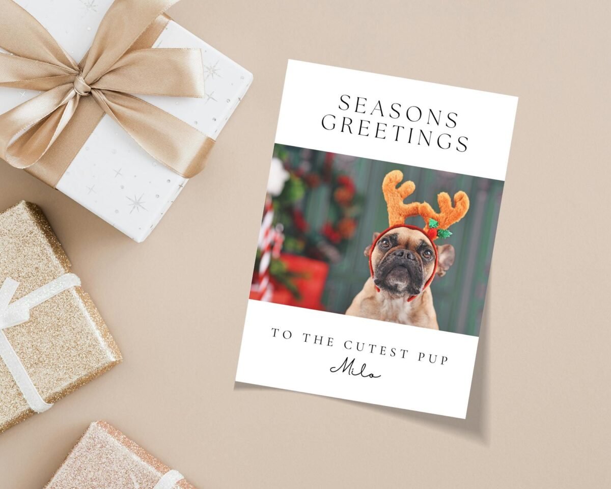 Personalized Pet Holiday Card with Photo, 5 x 7 Seasons Greetings Card with White Envelope Personalized Pet Holiday Card with Photo, 5 x 7 Seasons Greetings Card with White Envelope