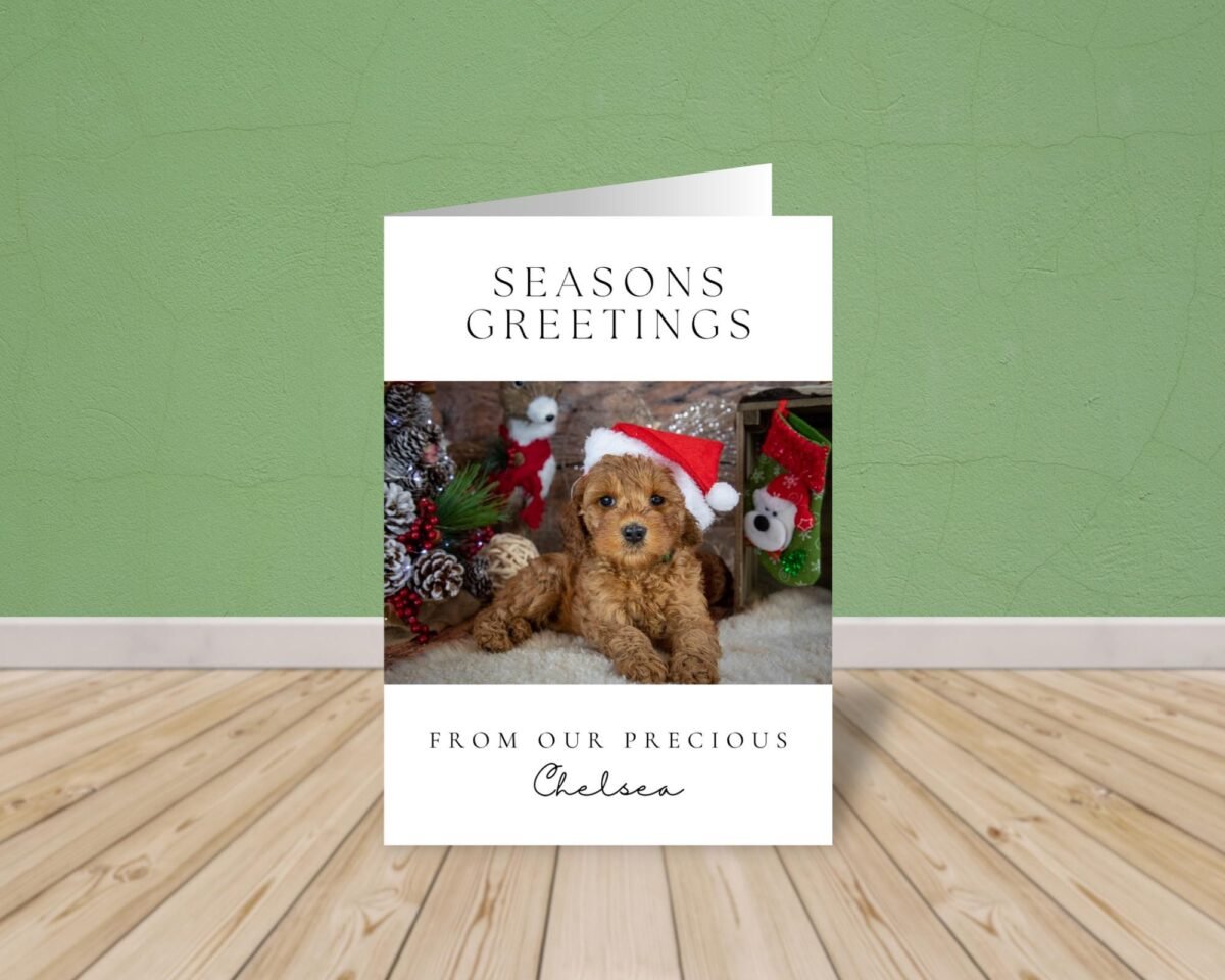 Personalized Pet Holiday Card with Photo, 5 x 7 Seasons Greetings Card with White Envelope Personalized Pet Holiday Card with Photo, 5 x 7 Seasons Greetings Card with White Envelope