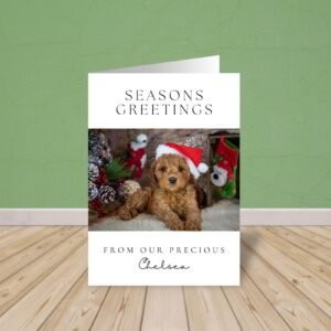 Personalized Pet Holiday Card with Photo, 5 x 7 Seasons Greetings Card with White Envelope Personalized Pet Holiday Card with Photo, 5 x 7 Seasons Greetings Card with White Envelope